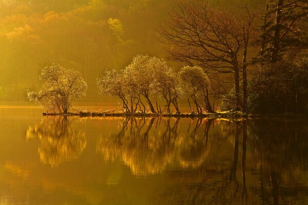 Coucher de soleil d automne sur le lac de la forêt