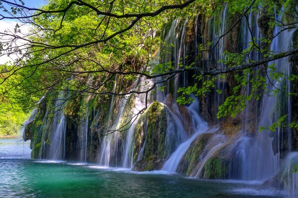 Waterfall in rocks and green trees