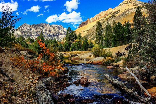 Mountain river in the mountains in autumn