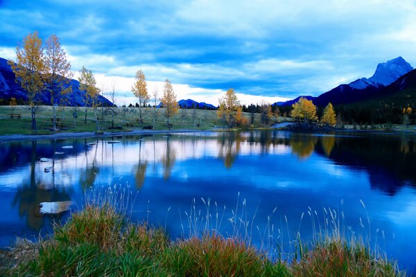 Reflections of trees in a mountain lake