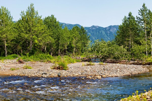 Un arroyo de montaña en las montañas de Kamchatka