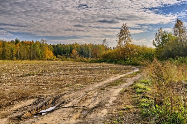 Camino al campo paisaje de otoño