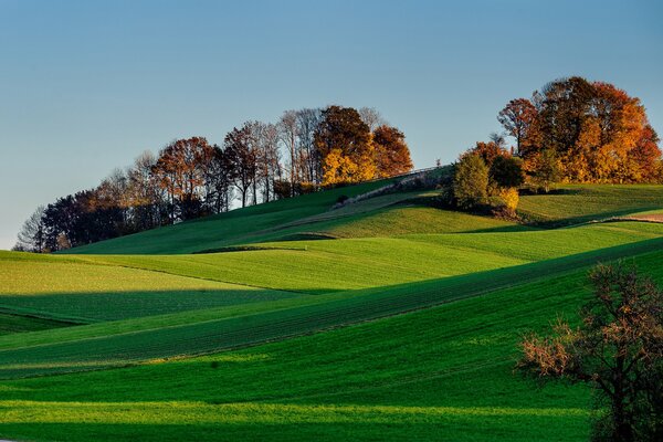 Piękny krajobraz o zachodzie słońca