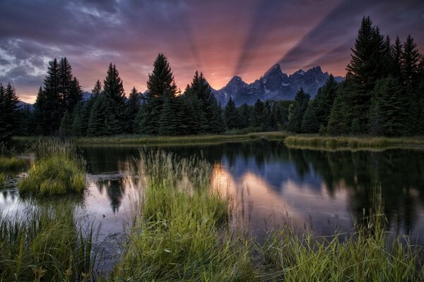 Río en los bosques de las estribaciones al atardecer