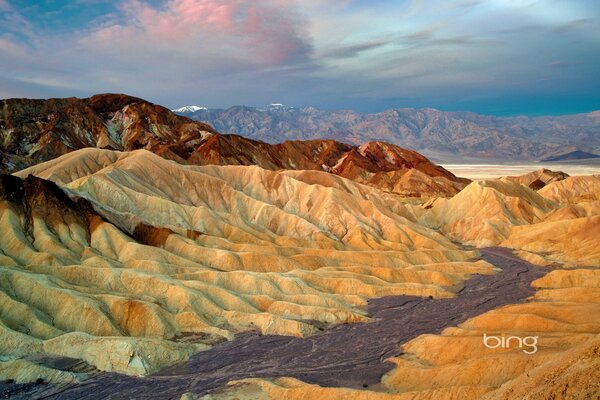 Bei posti in California