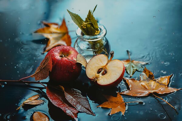 Photo of an apple and foliage in the rain