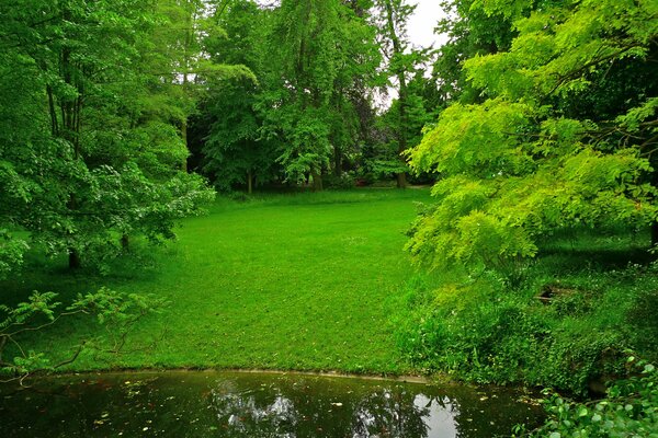 Albert Kahn Japanese garden in France and with a pond and trees on a green lawn