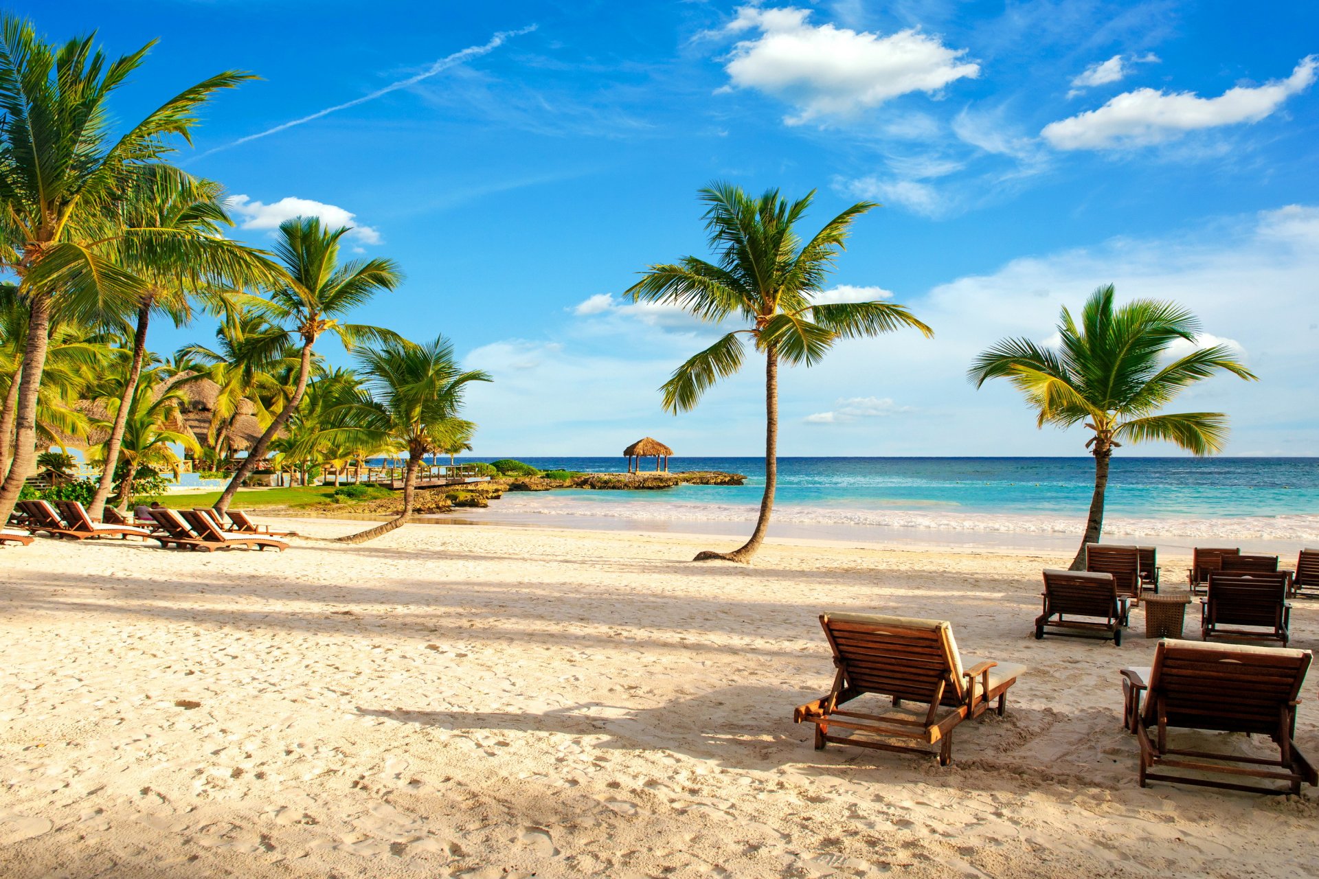 tropisch paradies strand palmen meer ozean im sommer urlaub tropen sand ufer