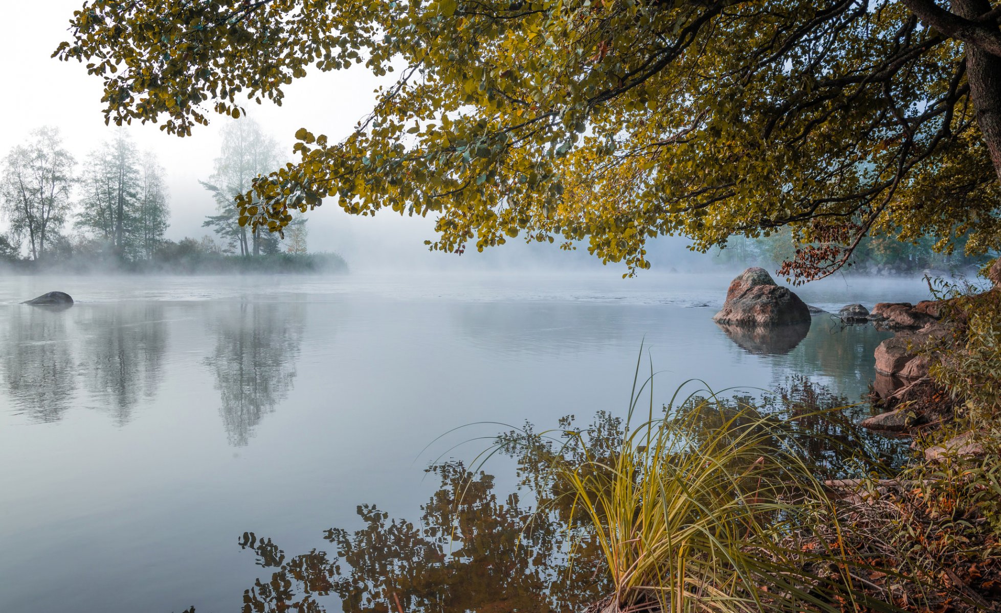 morgen morgendämmerung nebel steine see teich wald herbst