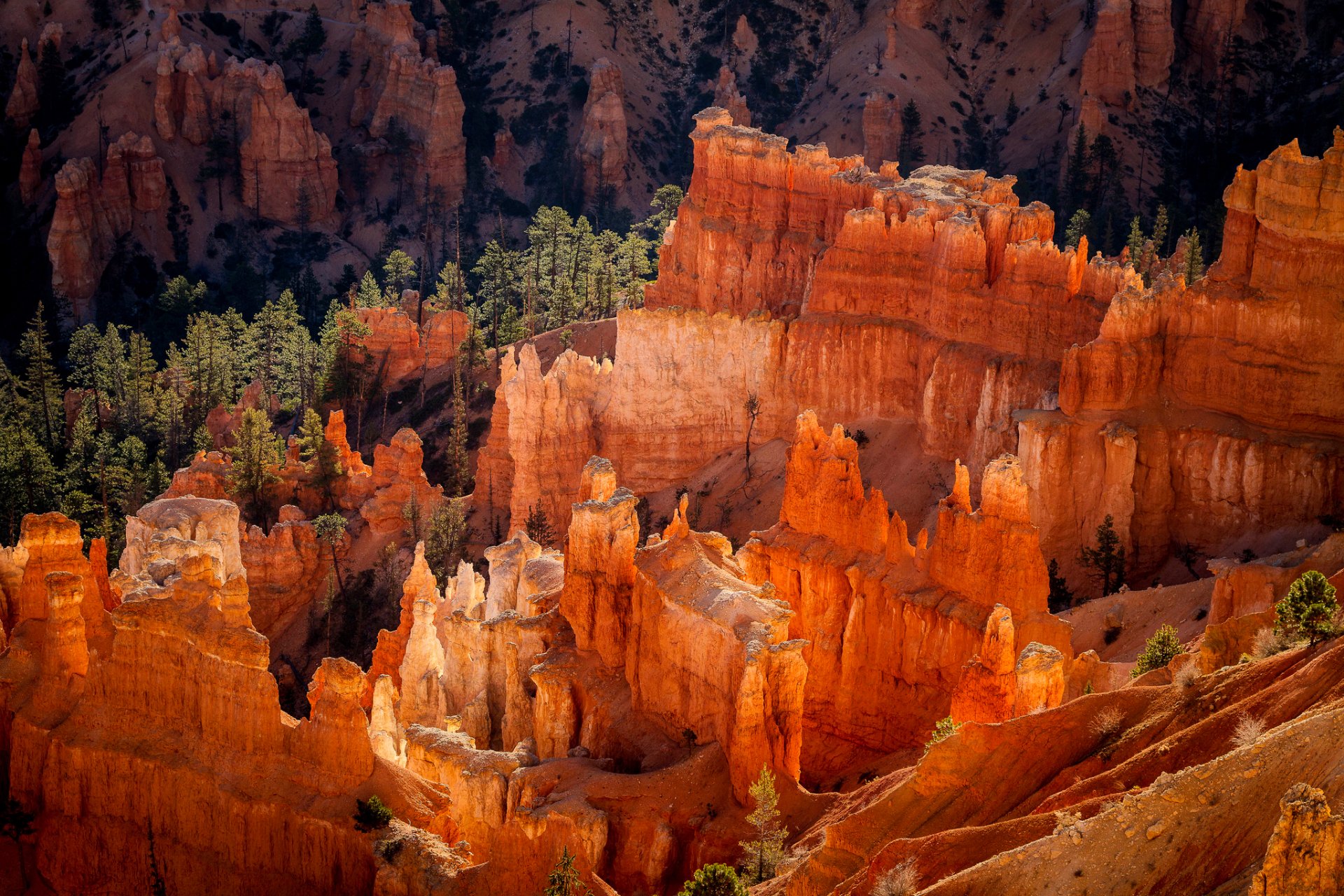 estados unidos utah parque nacional bryce canyon estructuras geológicas de hudu rocas bosque mañana