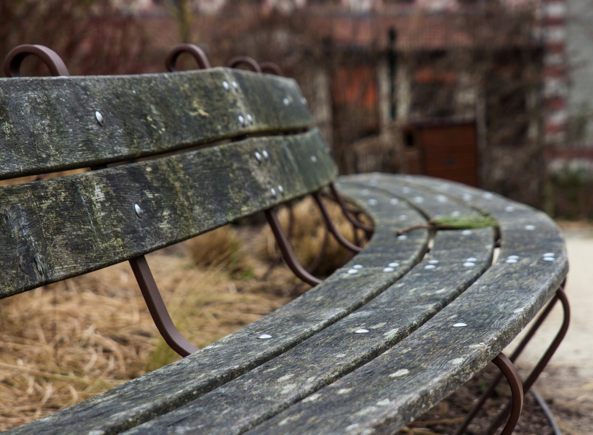 banc circulaire bench bokeh