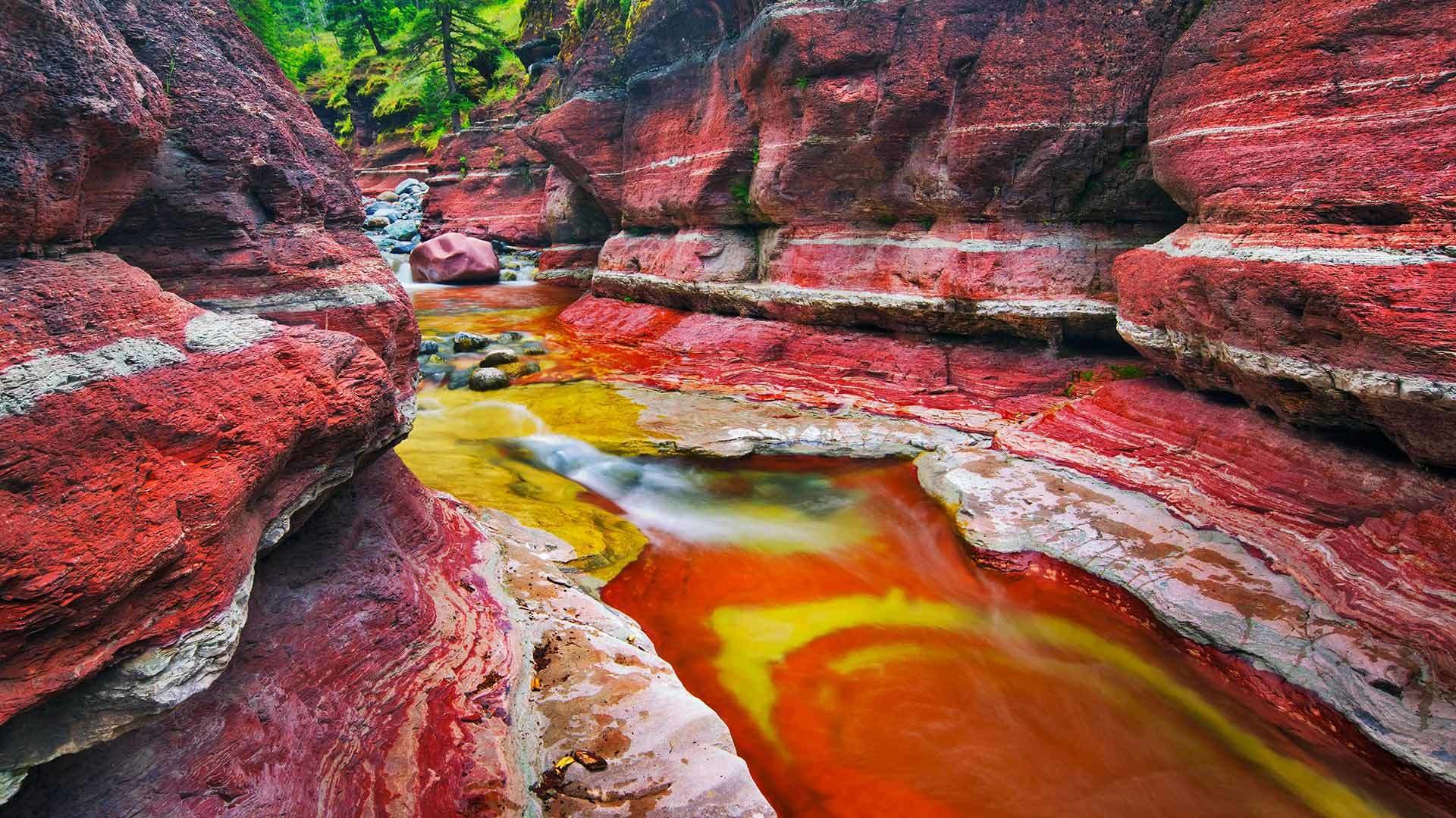 red rock canyon canada alberta red rock canyon roches ruisseau nature