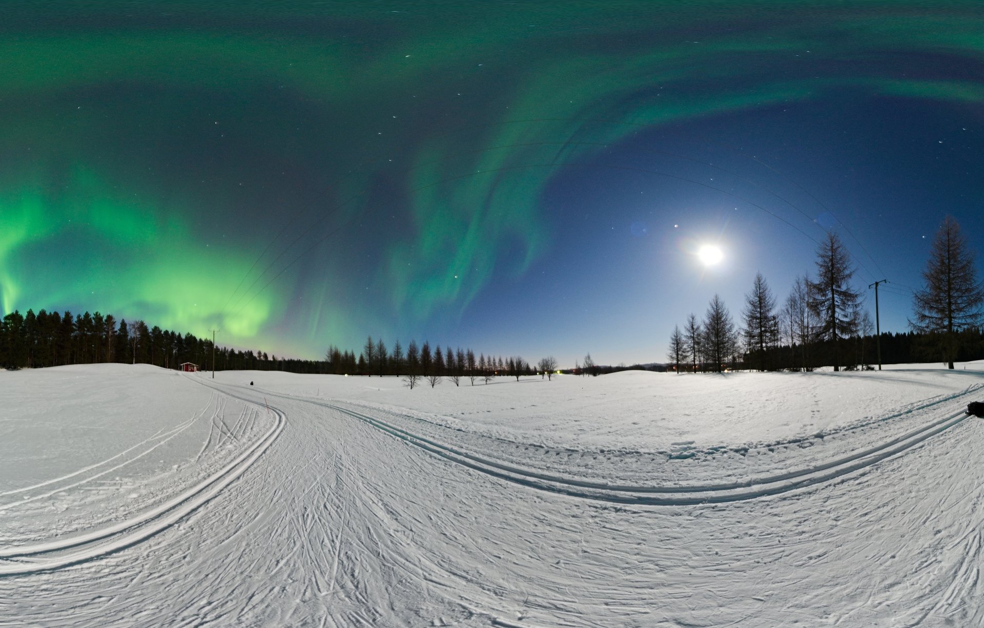 alberi foresta fili neve pali inverno aurora boreale