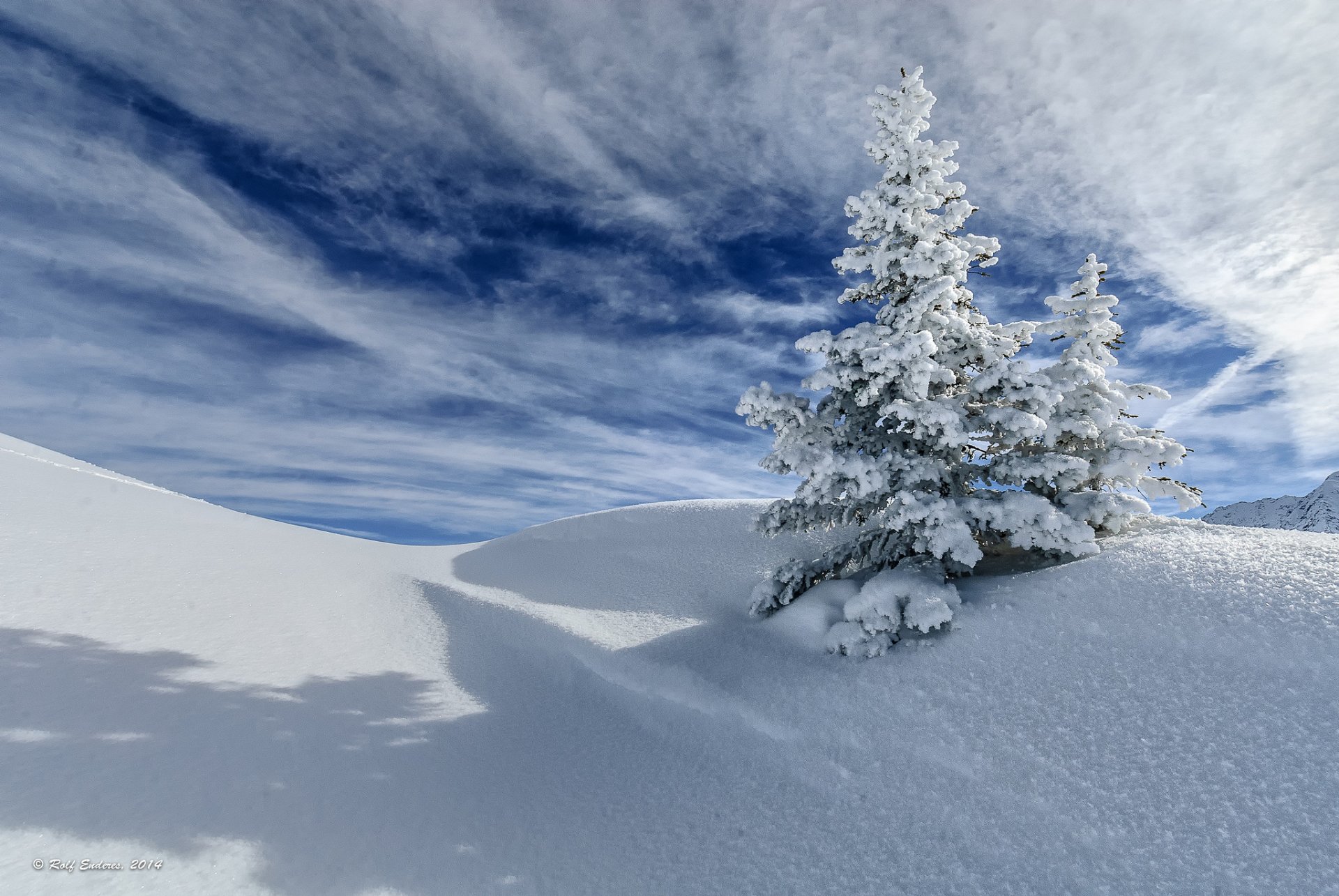 ciel nuages hiver neige arbre sapin