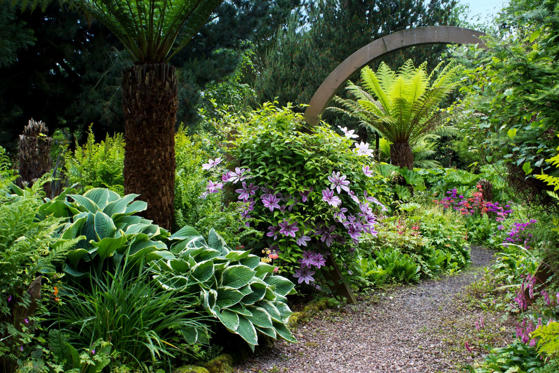 royaume-uni jardins de mount pleasant parc jardin arbres buissons fleurs verdure sentier