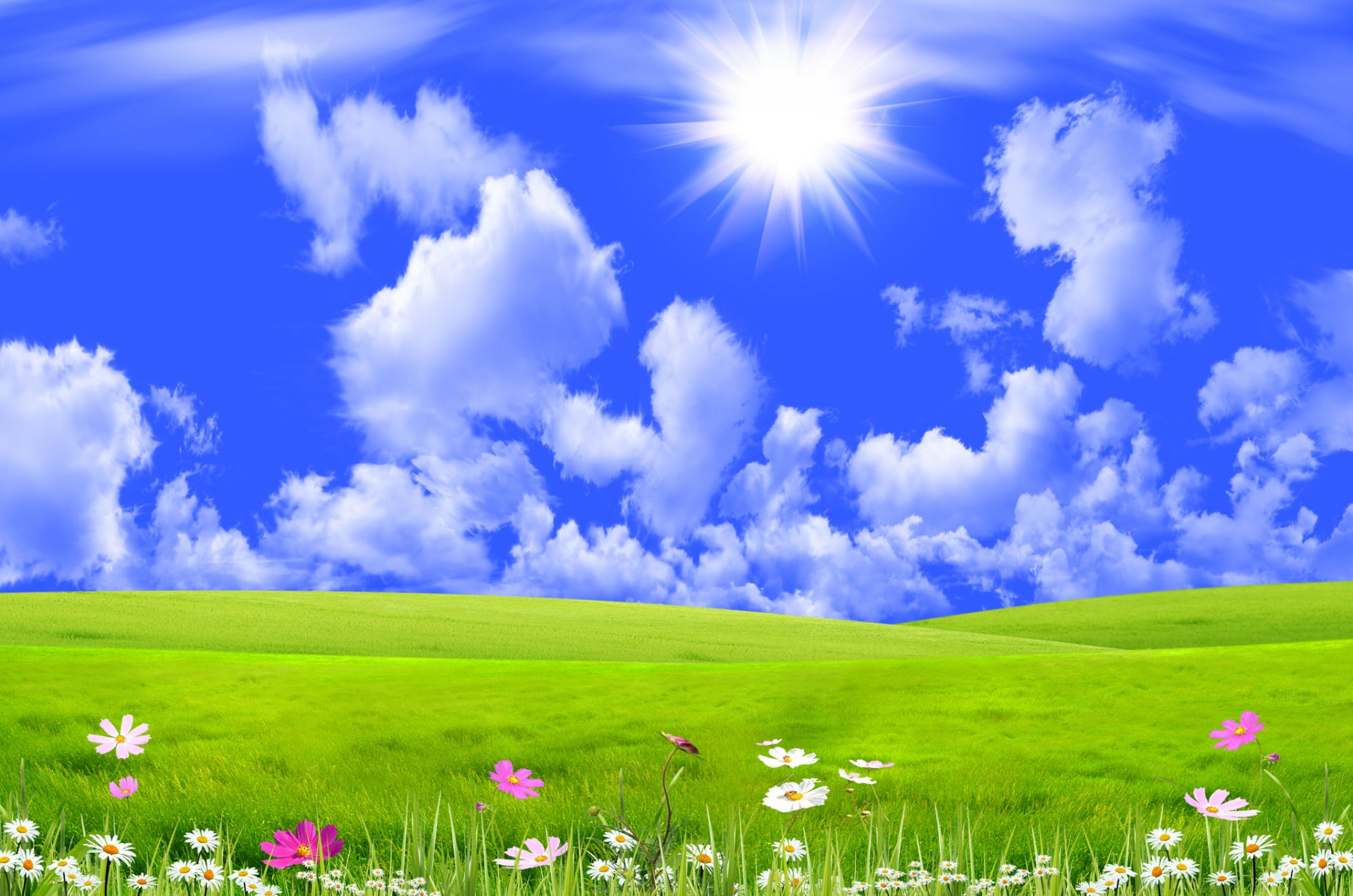 ciel nuages soleil rayons prairie herbe fleurs collage