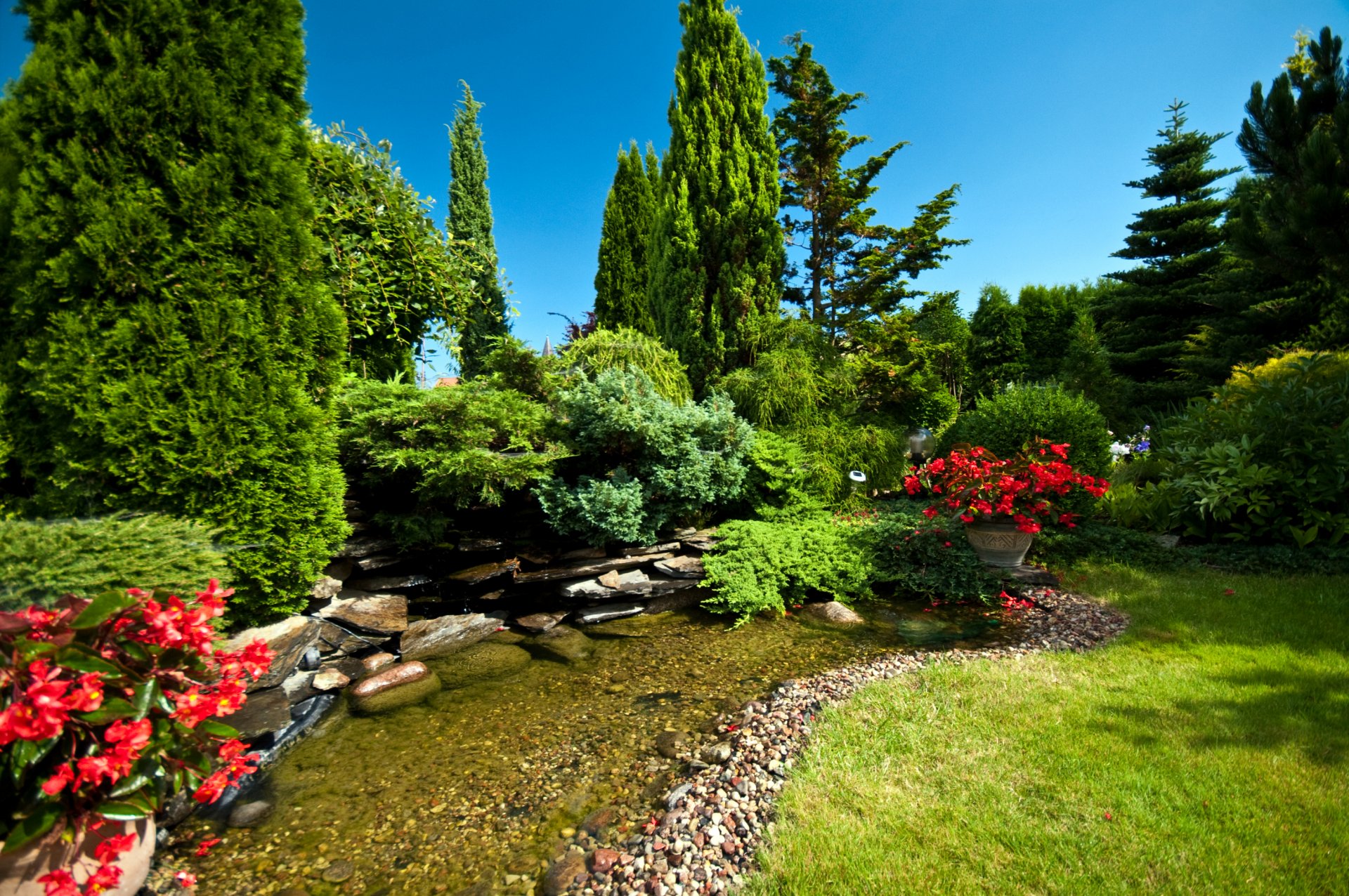 park creek stones flower grass bush tree green