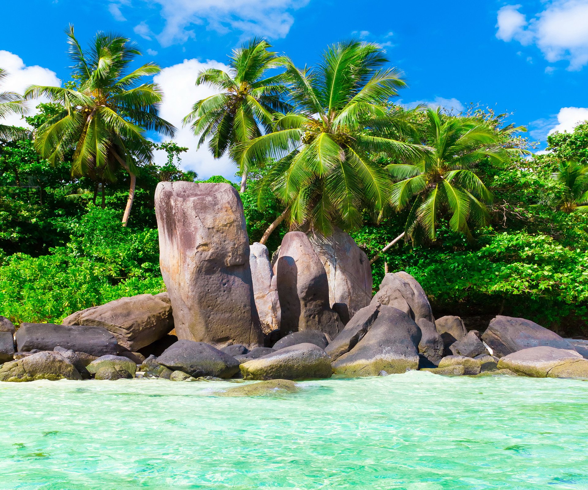 tropical paradis plage côte mer bleu émeraude océan palm été sable loisirs tropiques soleil île rivage