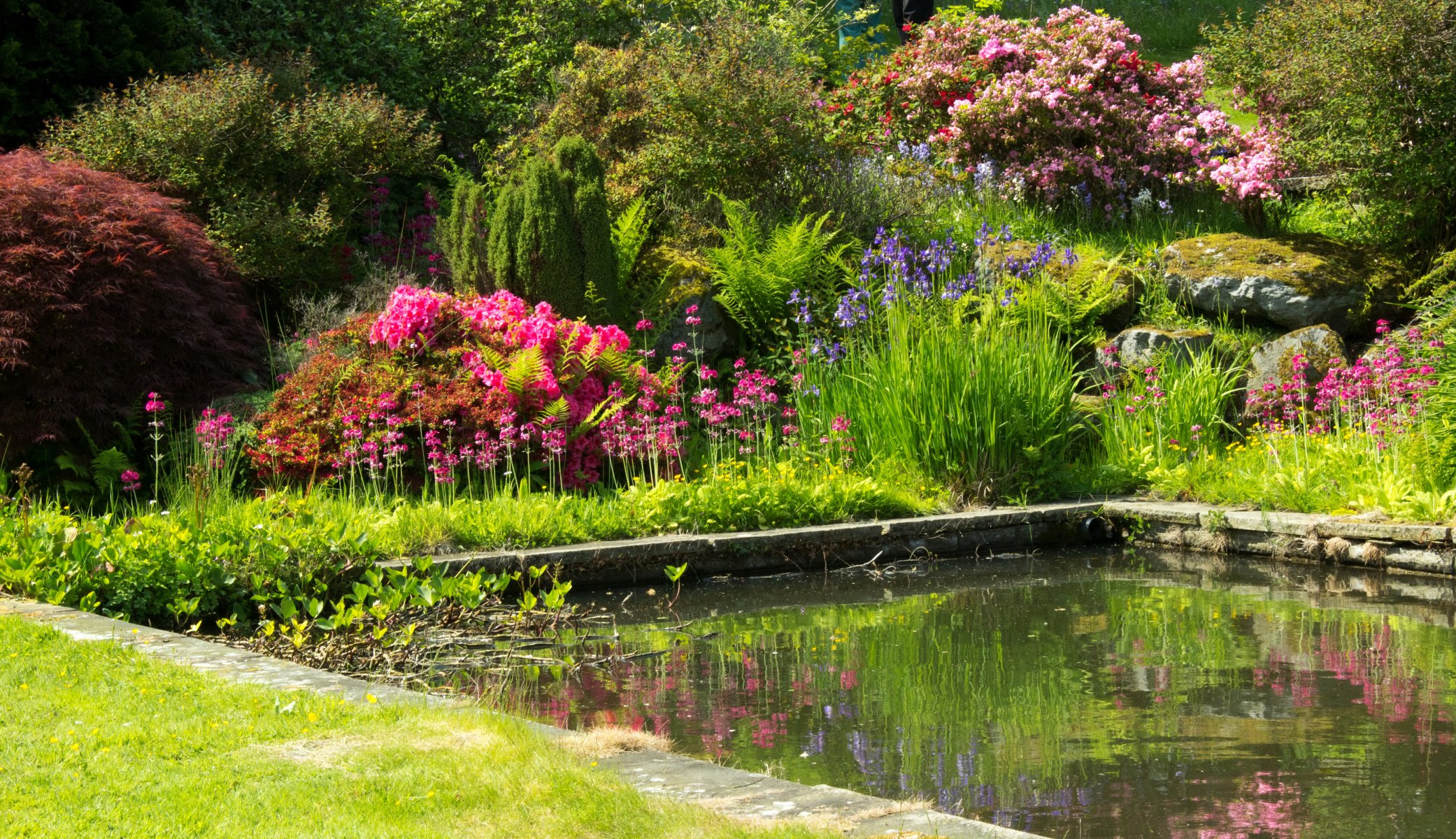 united kingdom mount pleasant gardens supplies pond green bush flower colored