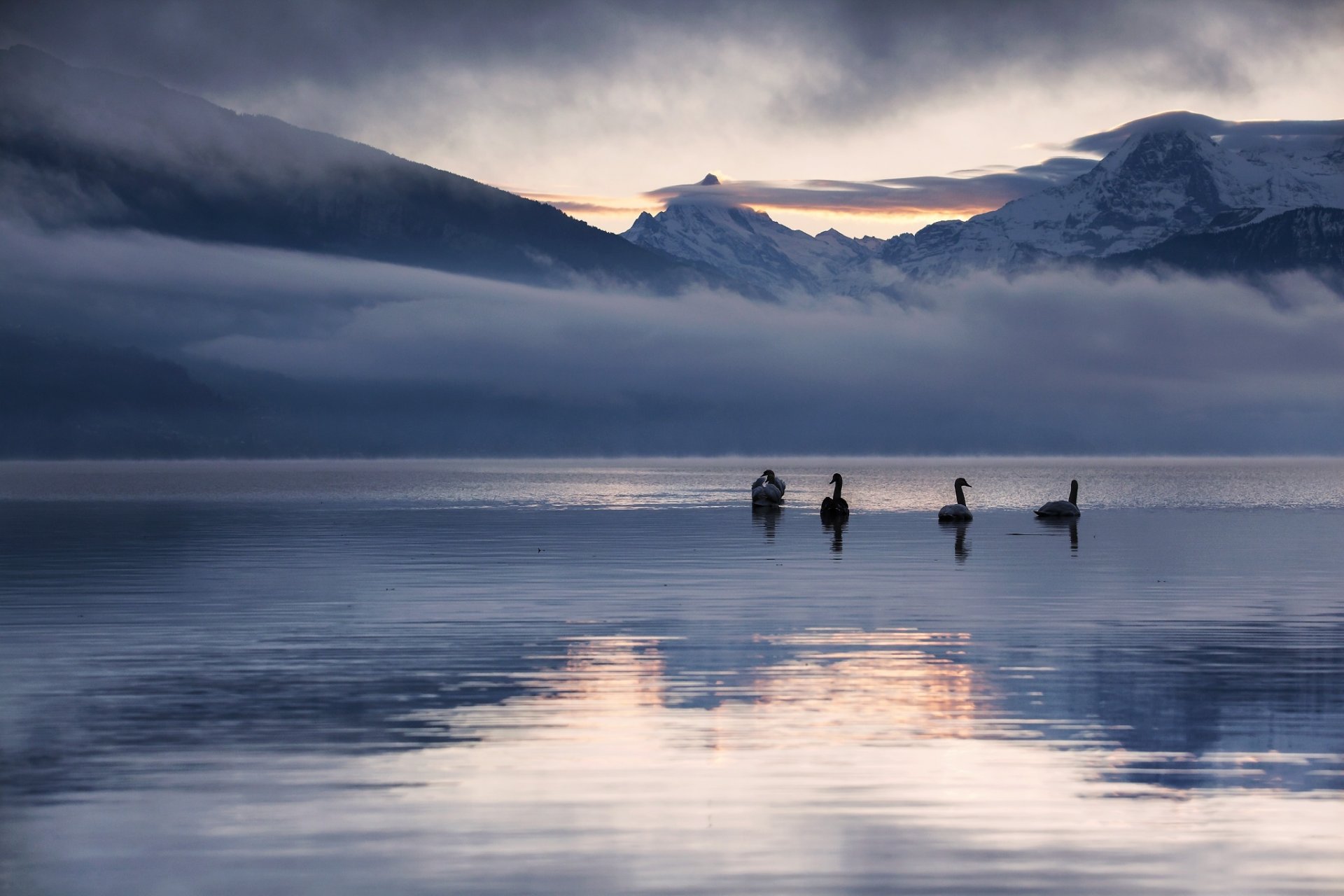 montagnes lac réflexion nature paysage hiver neige aube cygnes