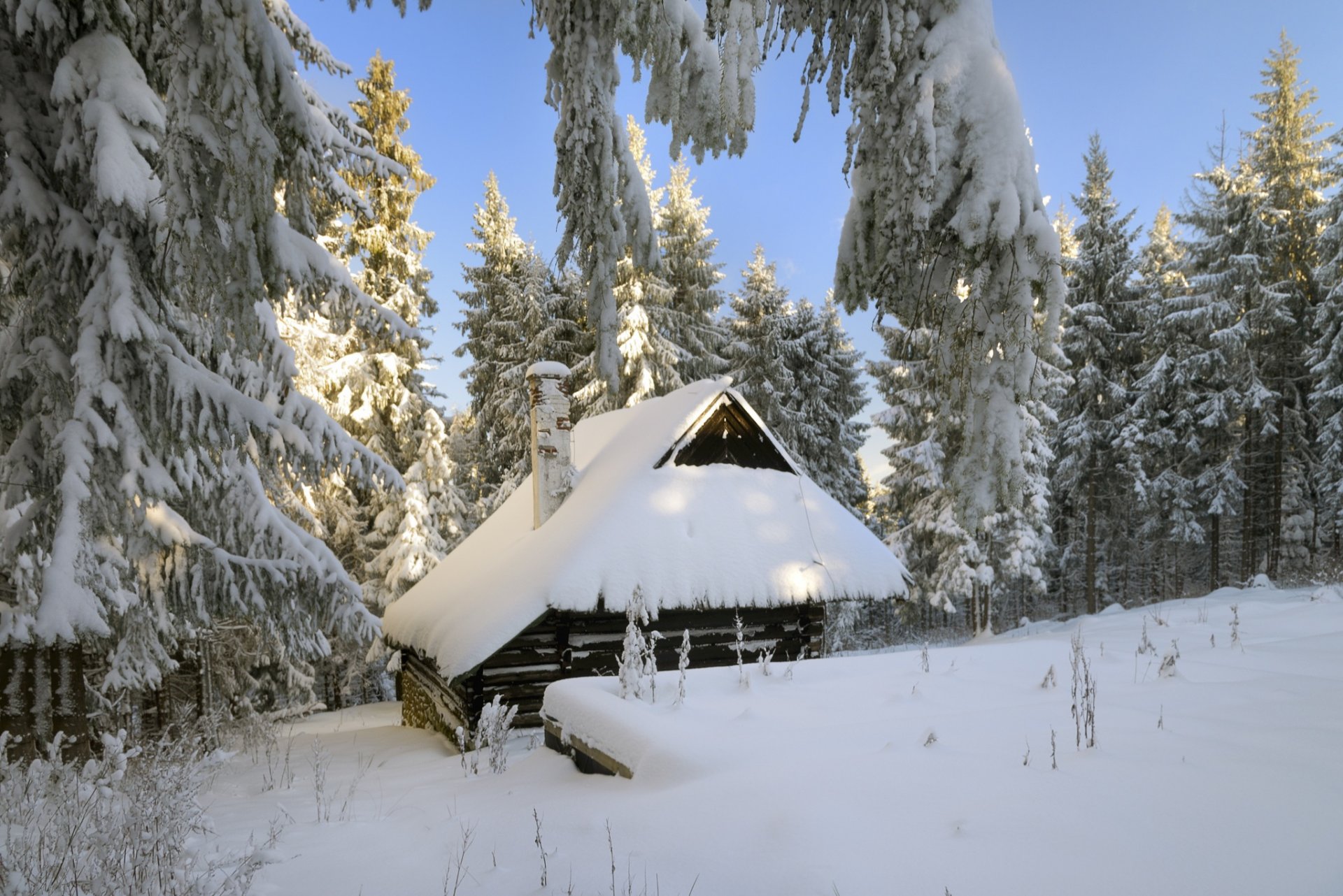 house forest winter snow tree