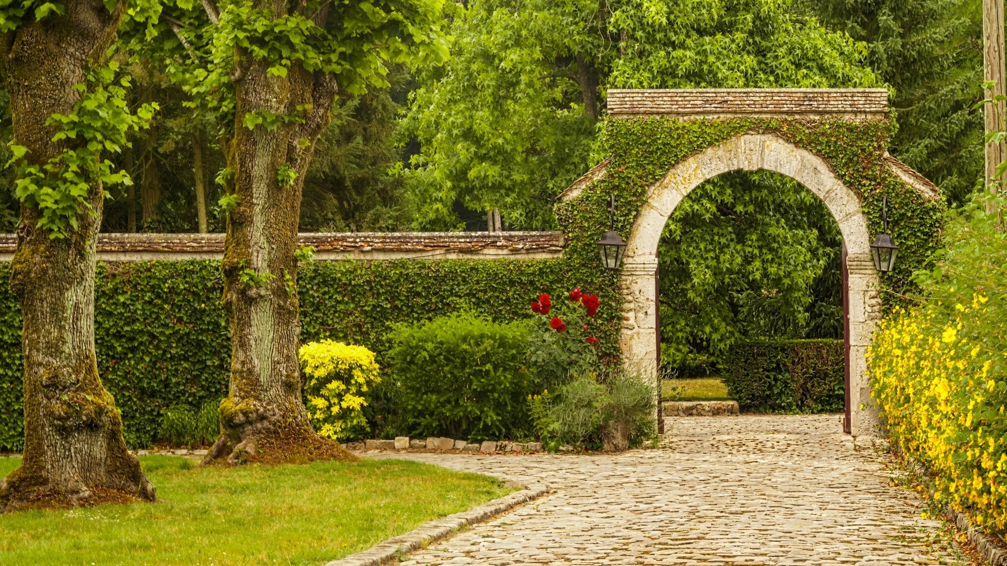 parque árboles arco flores