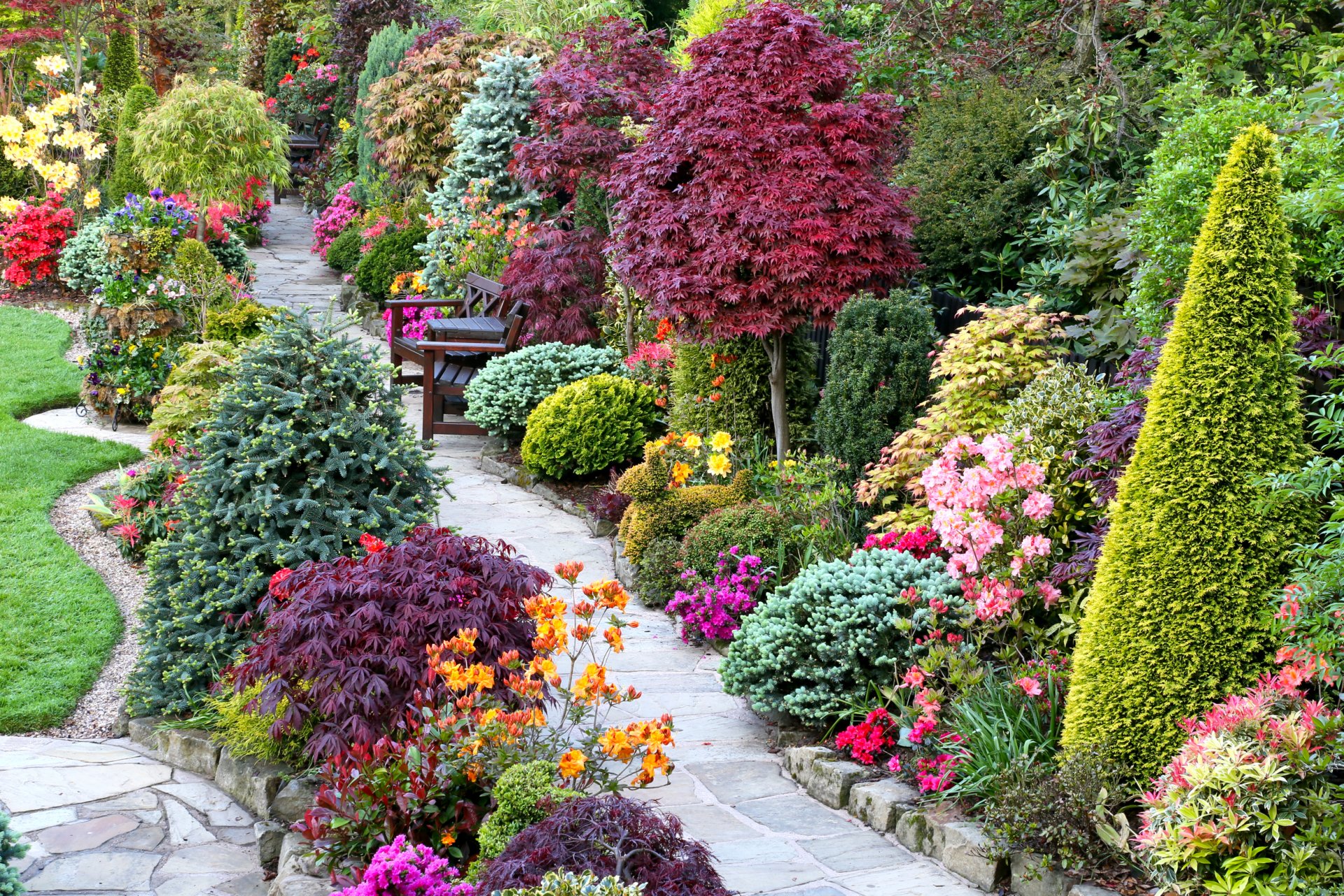 jardín camino mesas bancos bancos césped arbustos flores diseño