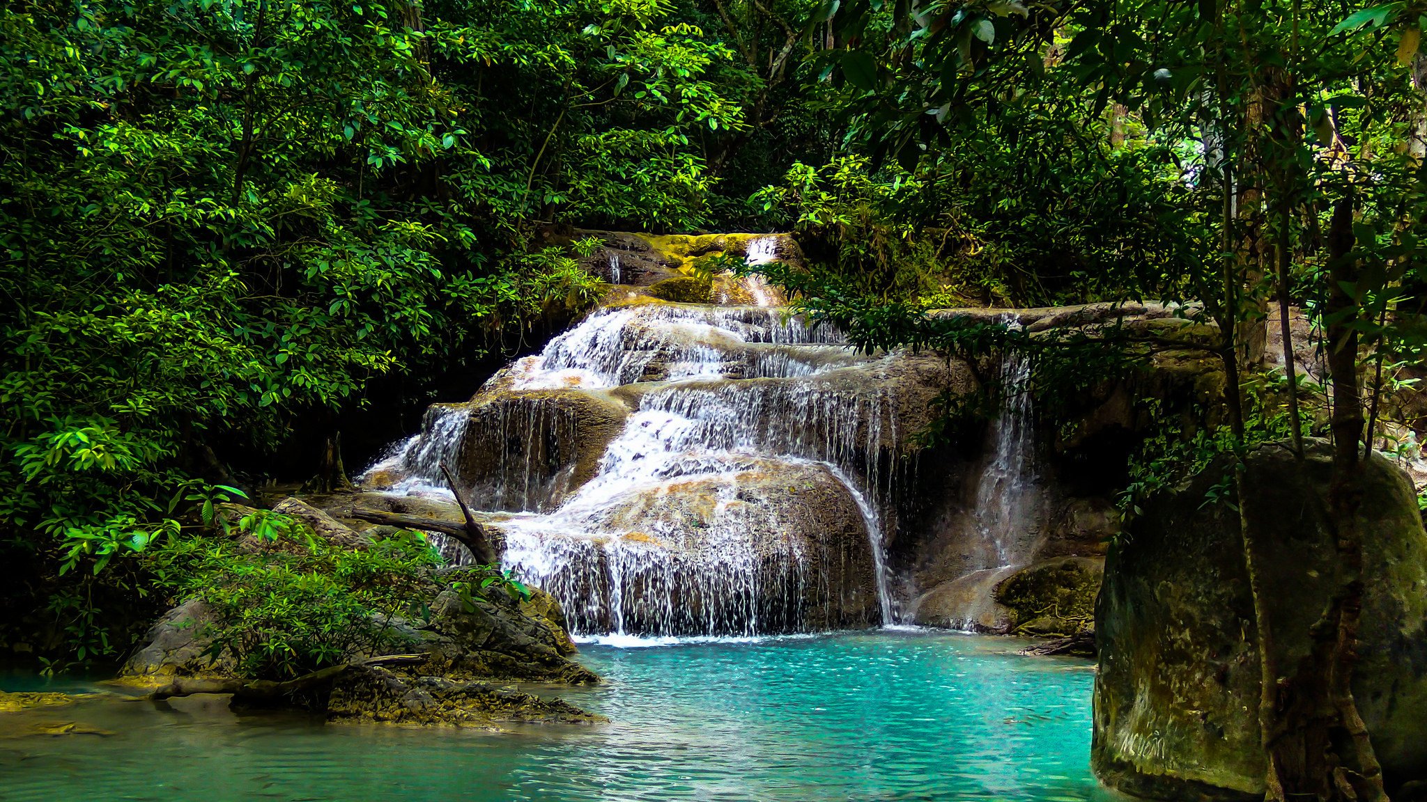 foresta cascata lago alberi