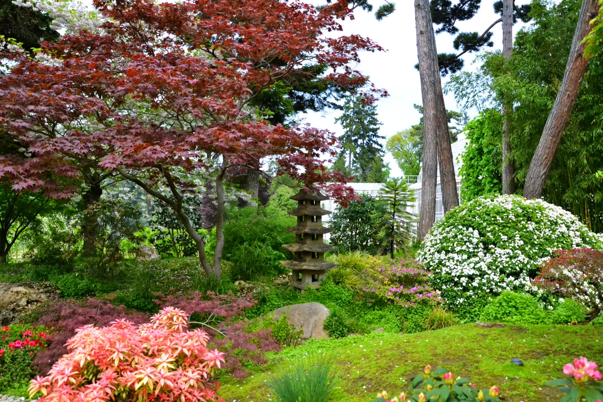 francia giardino albert-kahn giardini giapponesi parigi cespugli fiori alberi