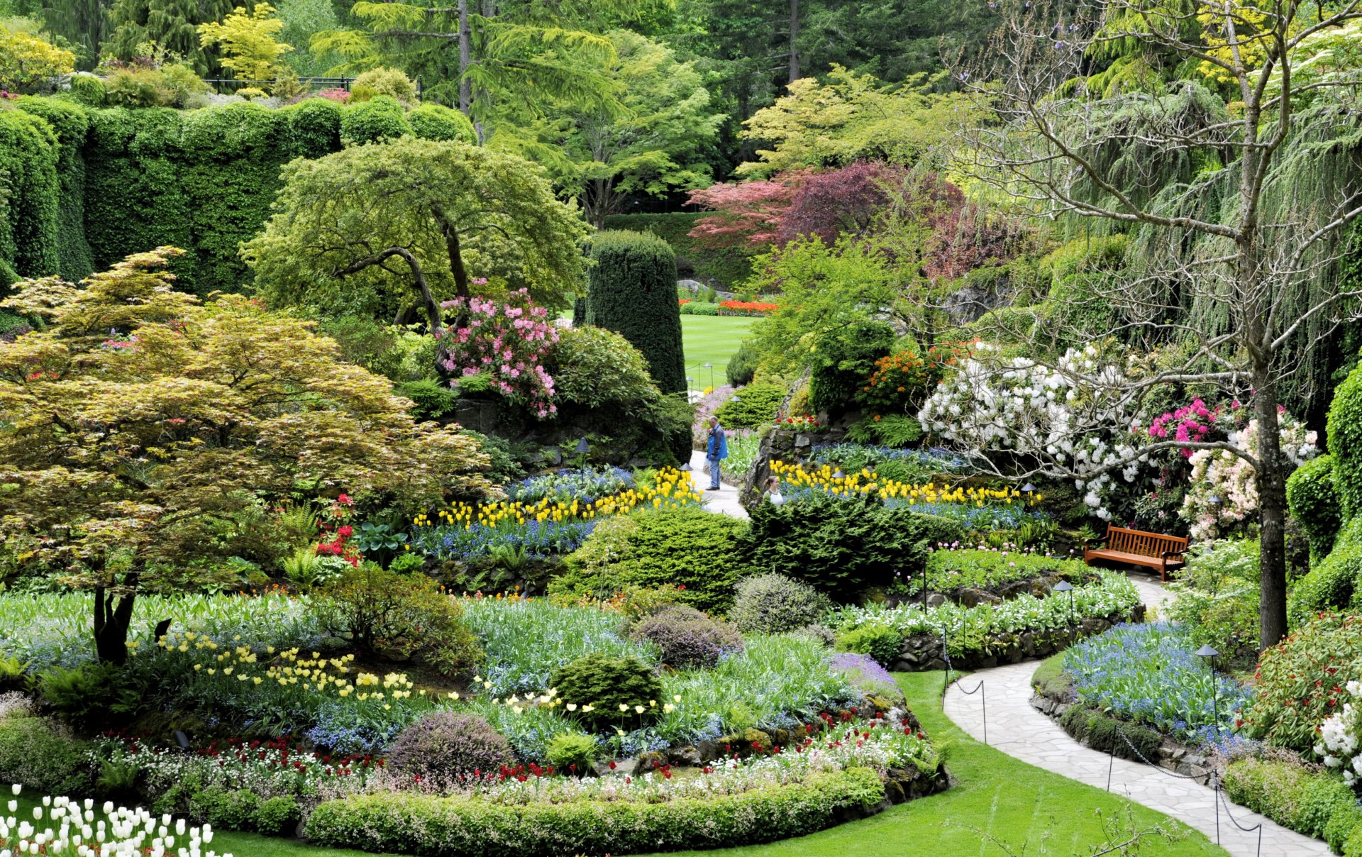 canada parc jardins butchart pelouses parterres de fleurs fleurs tulipes buissons arbres passerelle banc