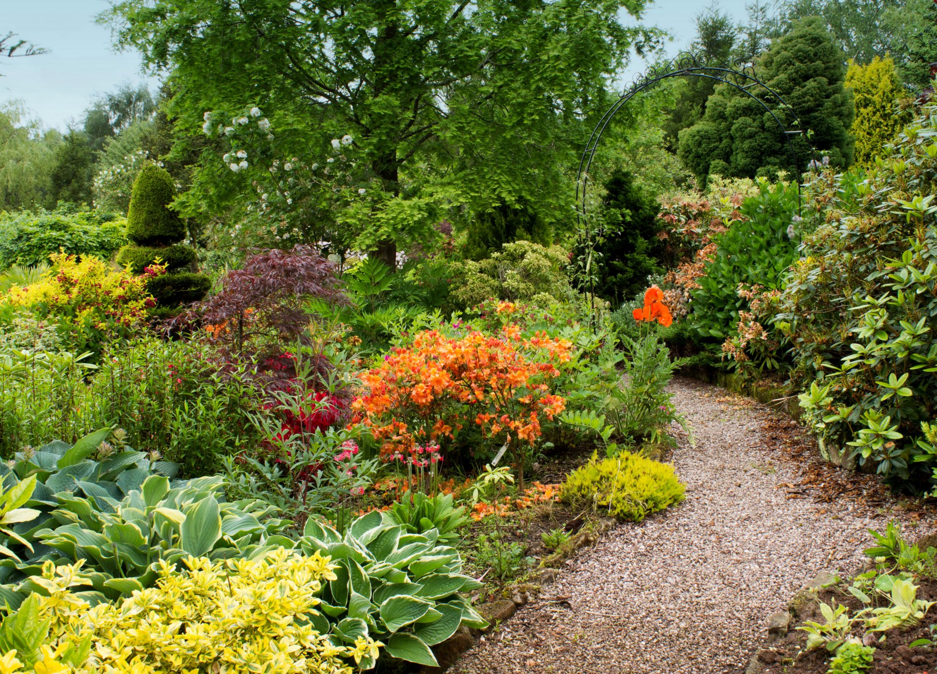 großbritannien garten mount pleasant gärten bäume sträucher blätter grüns blumen fußweg kies