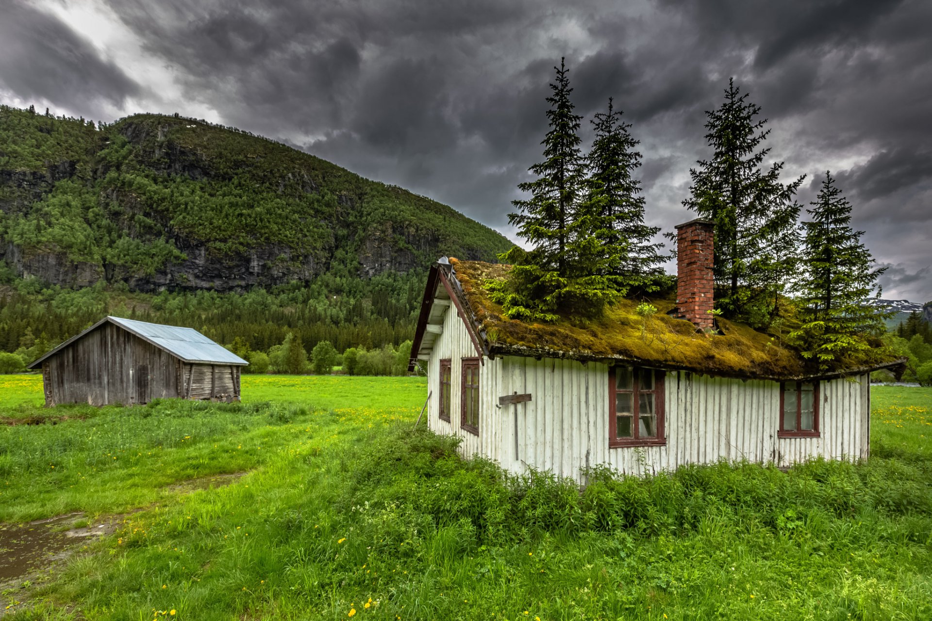 hemsedal norvège norway house roof moss tree mountain nature