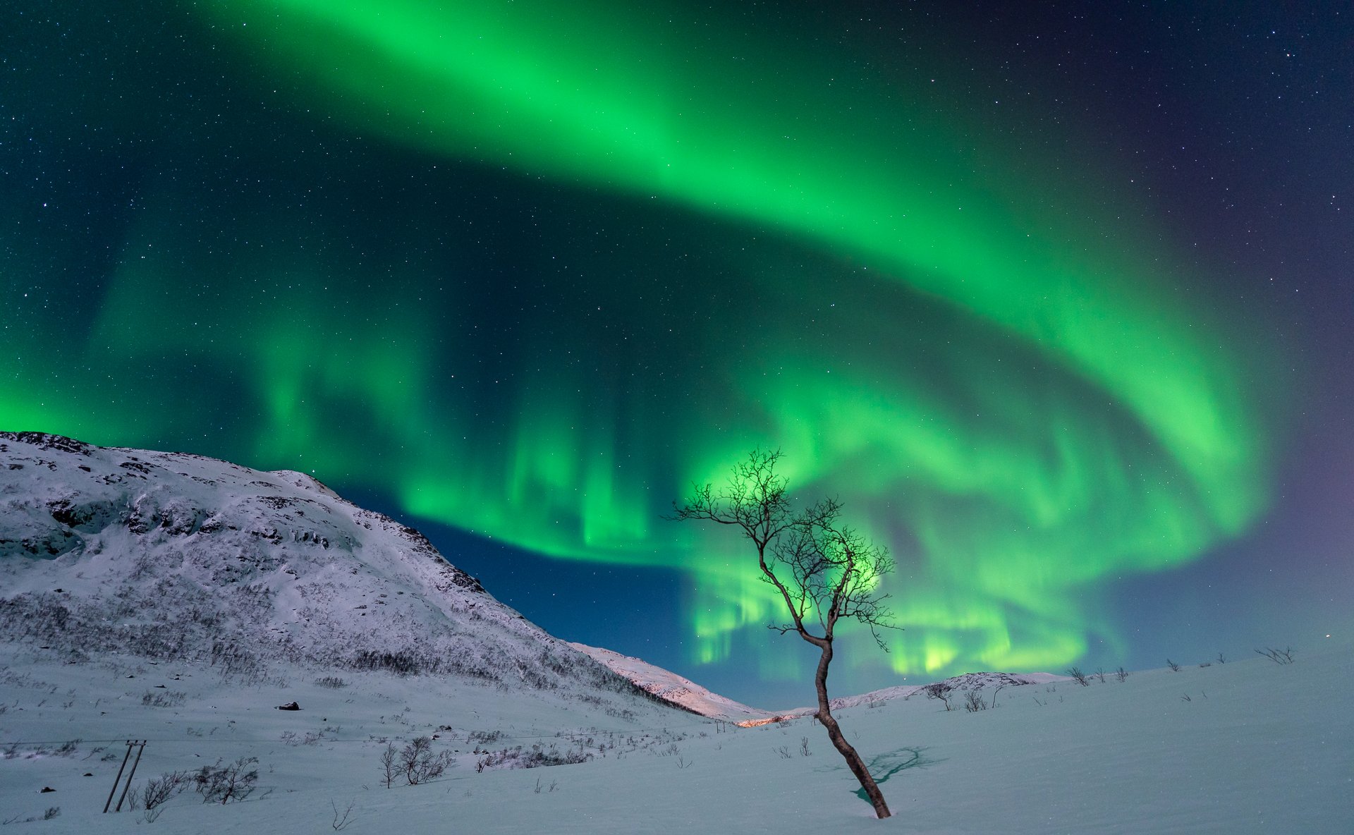 ciel étoiles nuit éclat montagnes neige arbre hiver