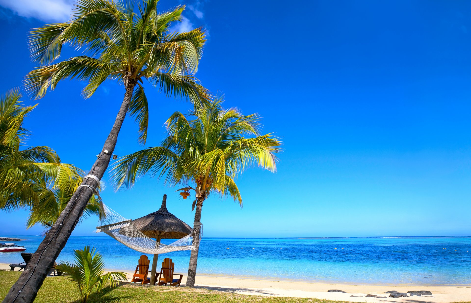 tropisch paradies strand palmen meer ozean sonne sommer urlaub hängematte tropen sand ufer