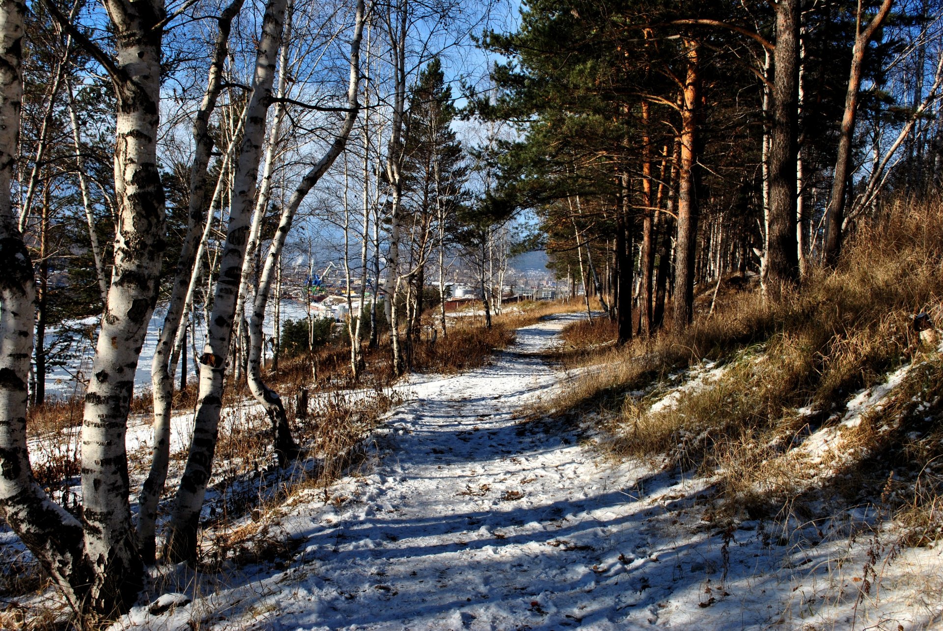 invierno nieve camino bosque camino ust-kut