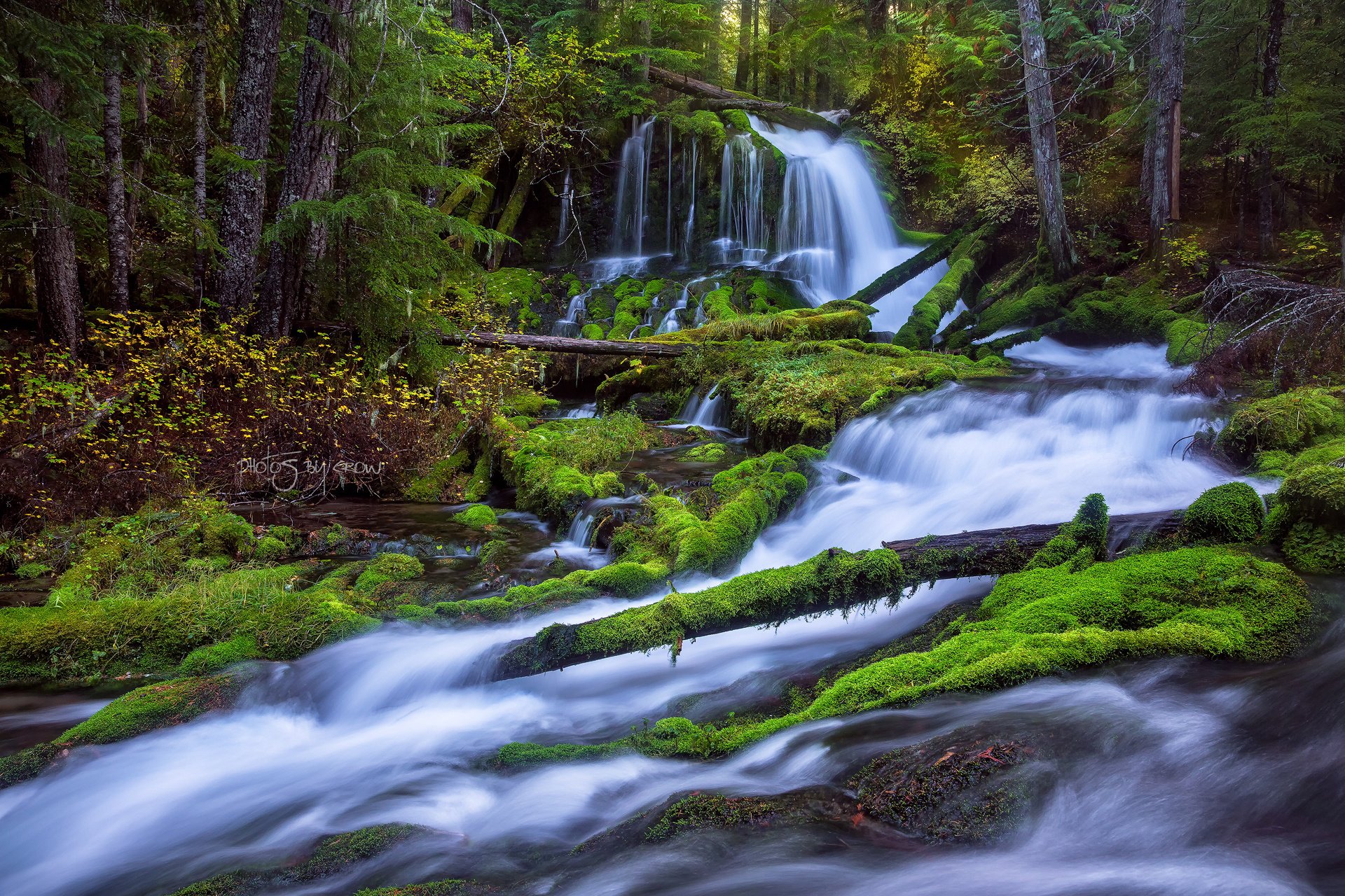 nature forest autumn flows river waterfall branche