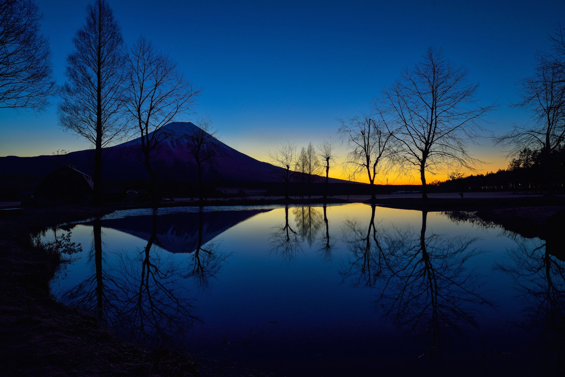 japonia góra fujiyama wieczór niebo blask jezioro drzewa sylwetka