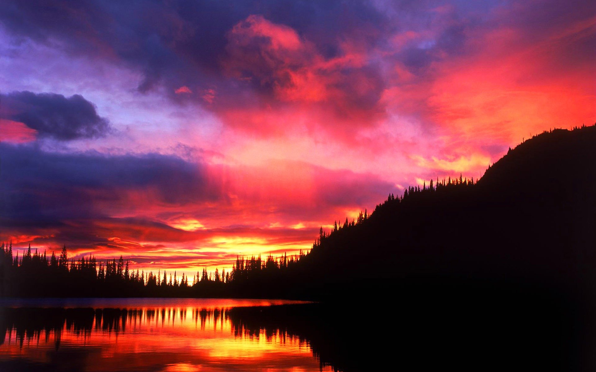 ky clouds sunset silhouette forest tree reflection lake