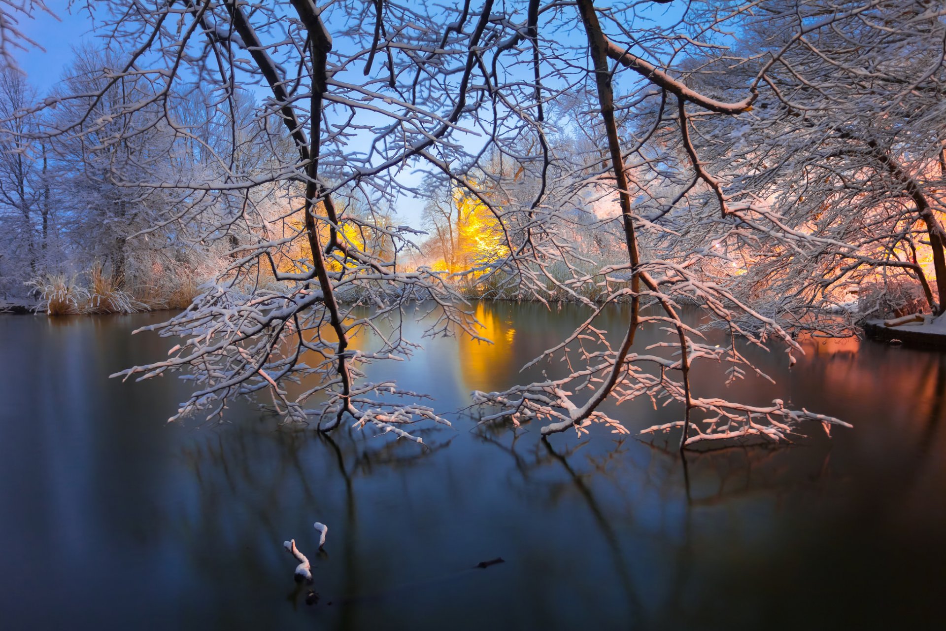 prospect park brooklyn new york city new york lake branches winter