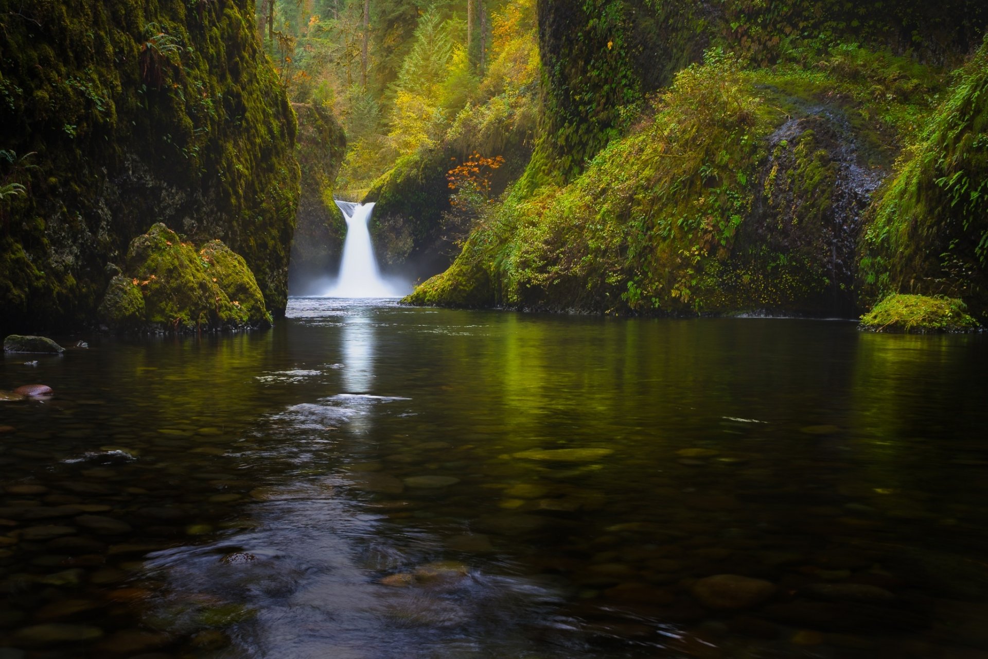 bosque cascada naturaleza. río lago árboles