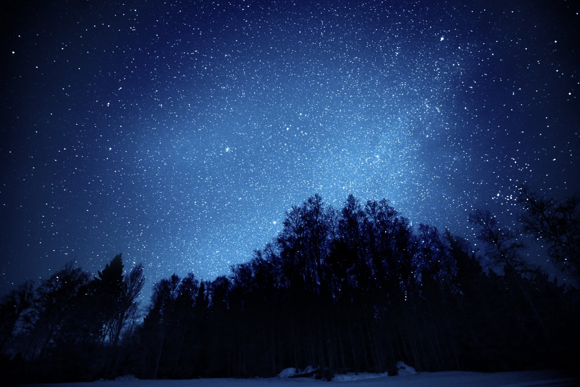 himmel sterne nacht bäume wald