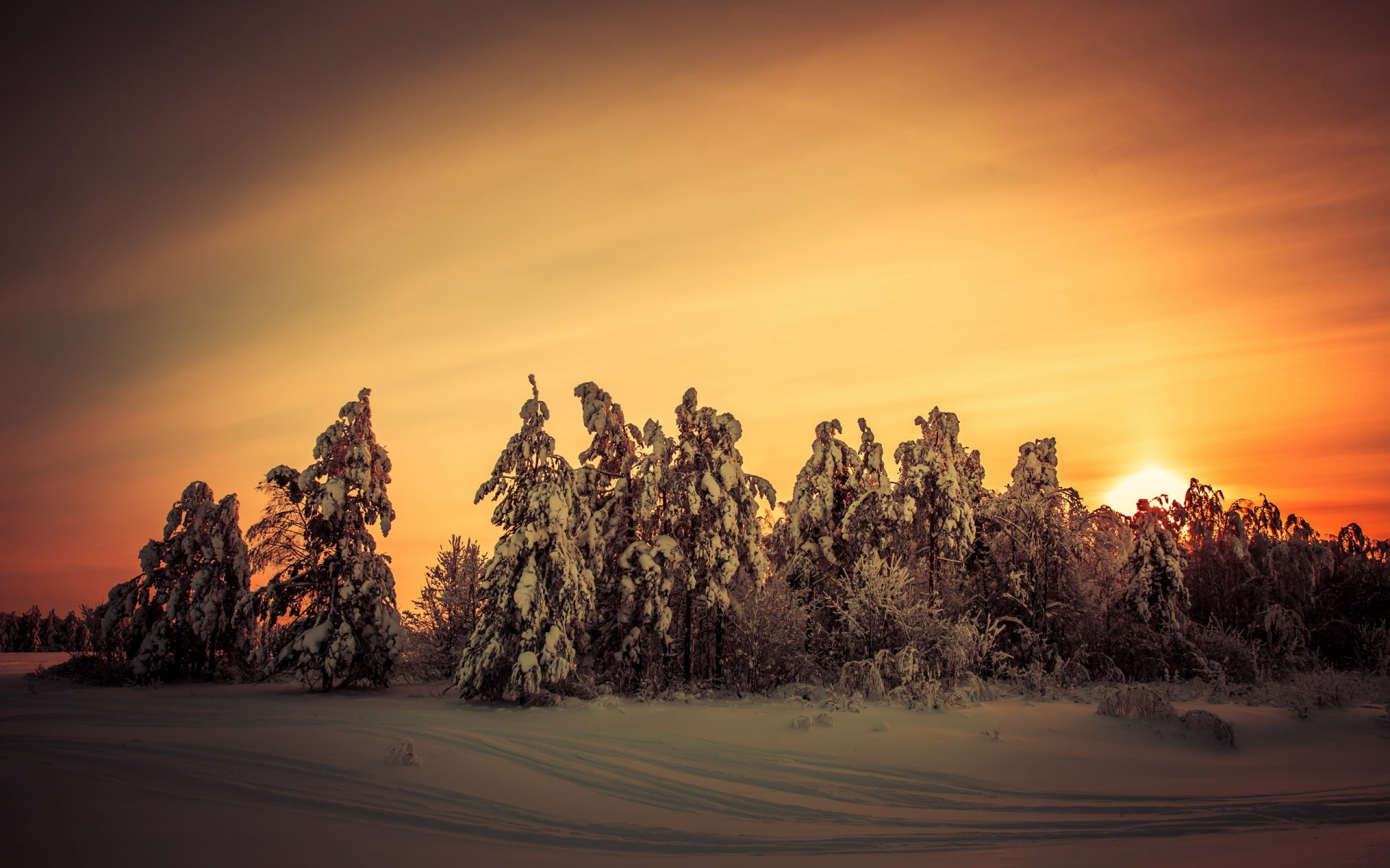 unset winter nature landscape