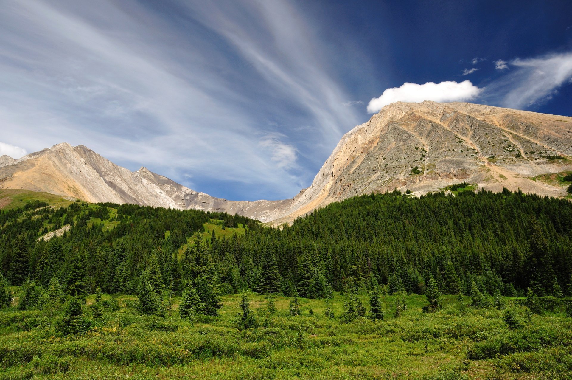 kananaskis alberta kanada niebo góry las