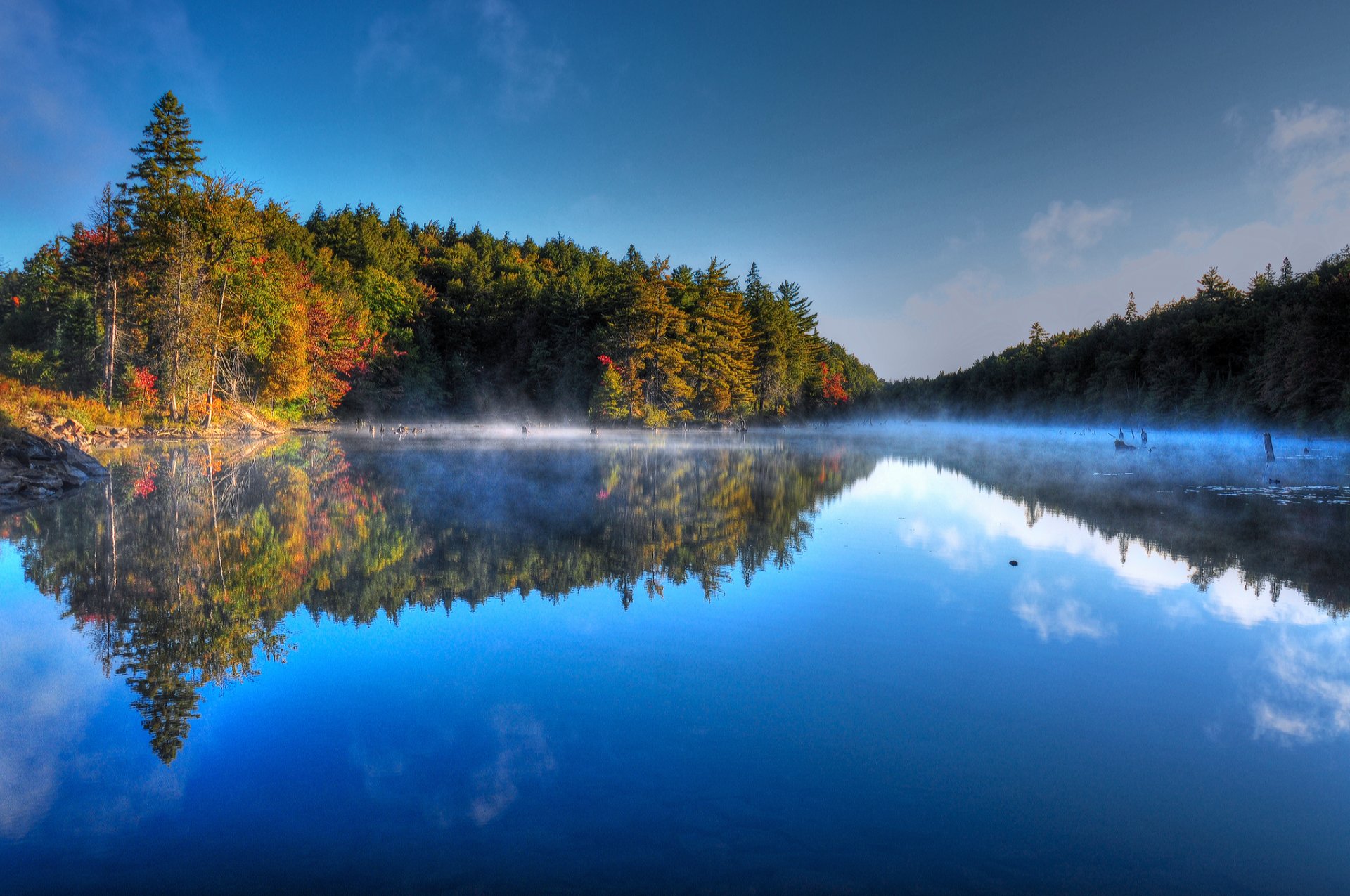 ciel matin brouillard forêt arbres lac automne