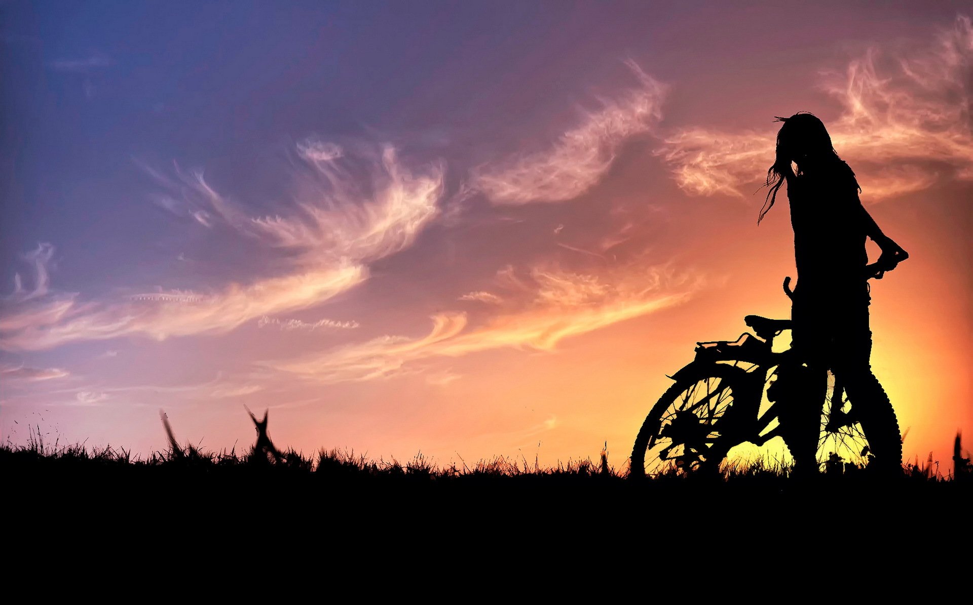 ummer sky silhouette sunset