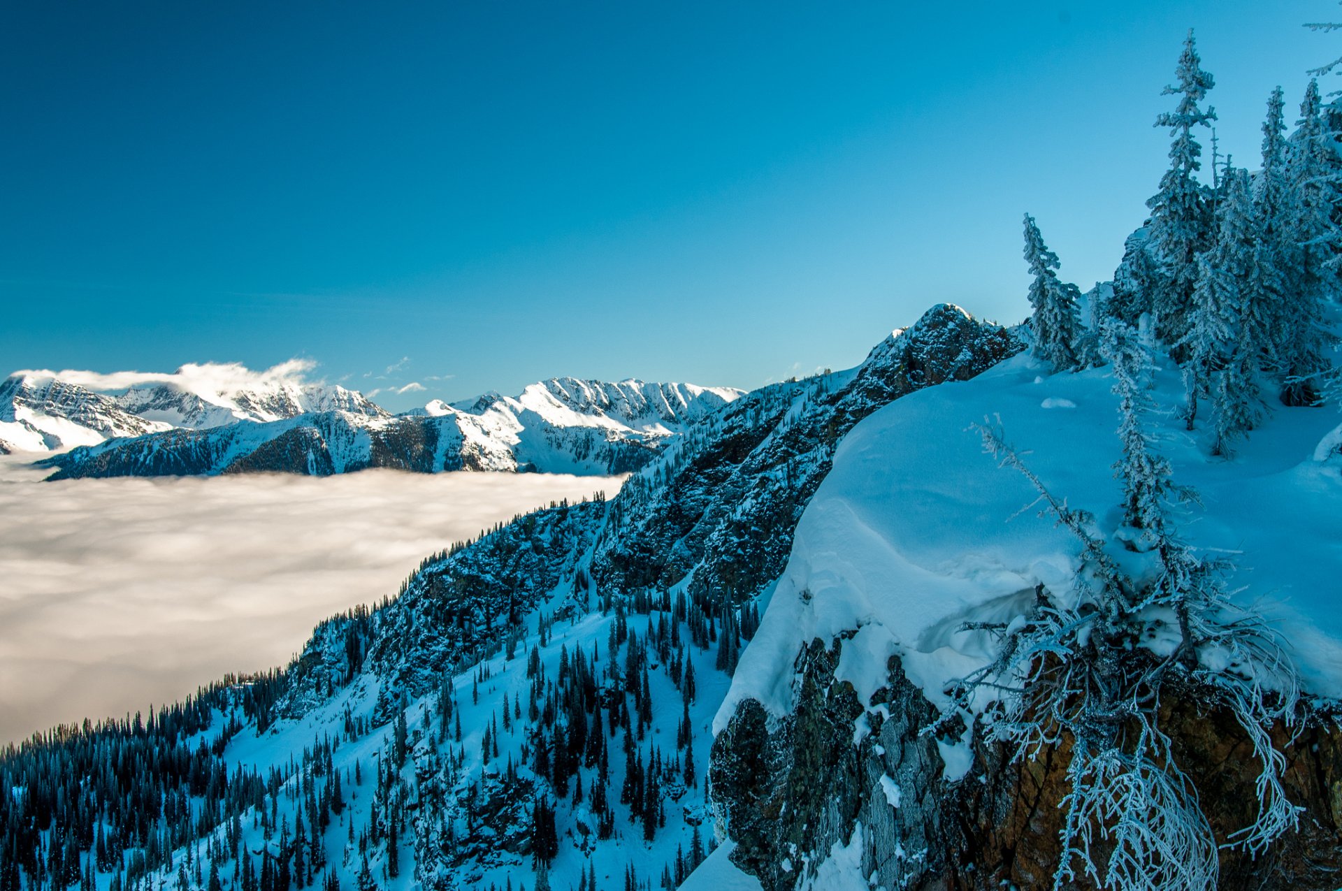 himmel berge nebel winter schnee bäume