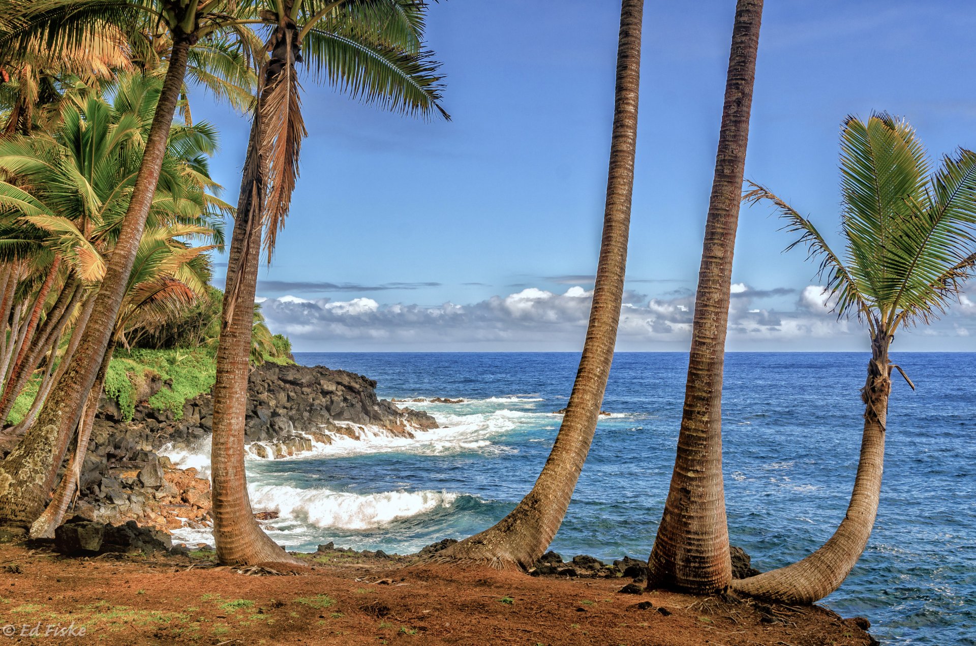 hawaii usa himmel wolken meer küste palmen