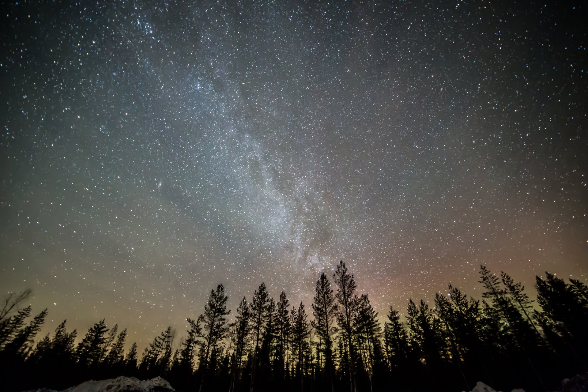 milky way night star sky tree