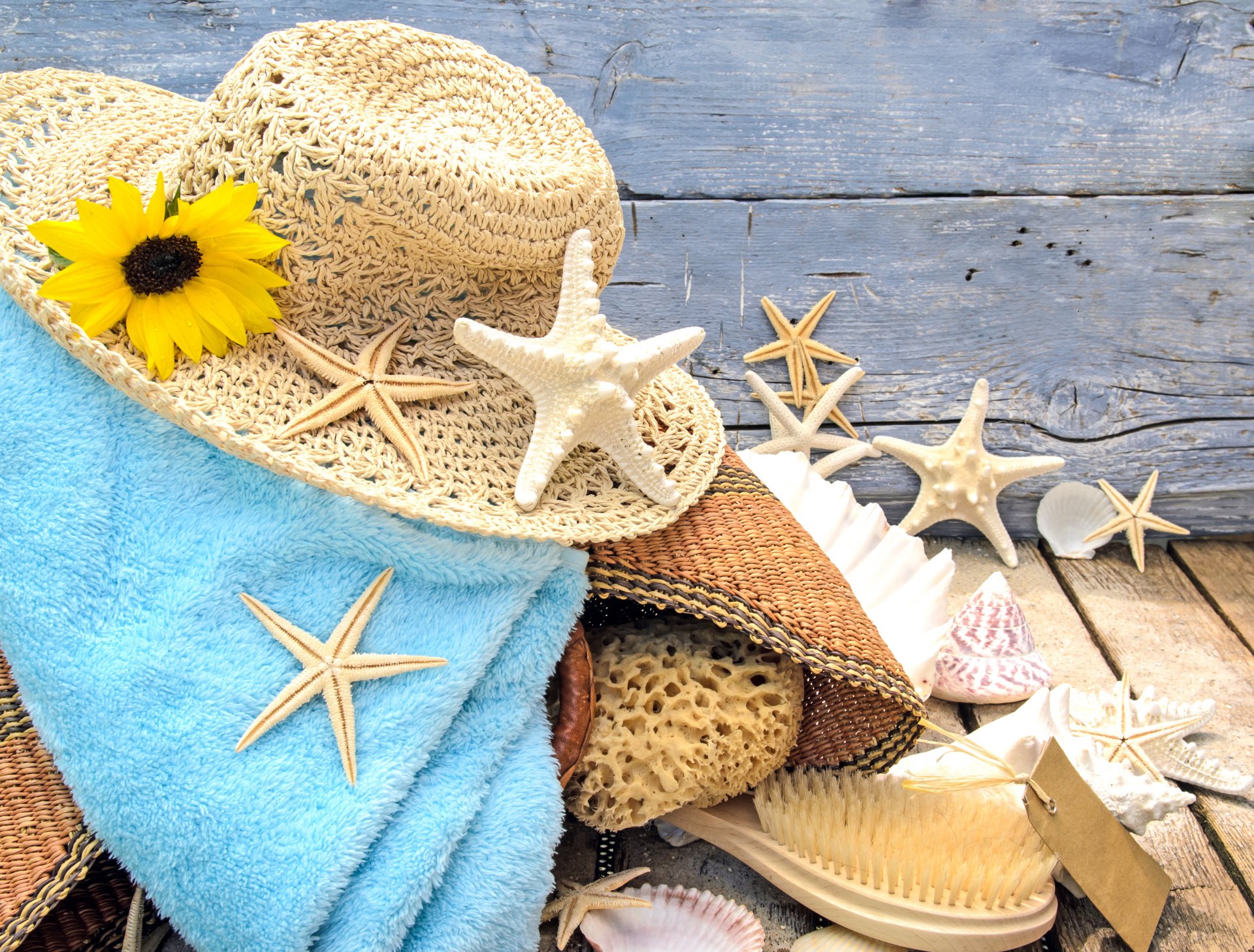 eashells starfish beach sand tree stars hat accessorie