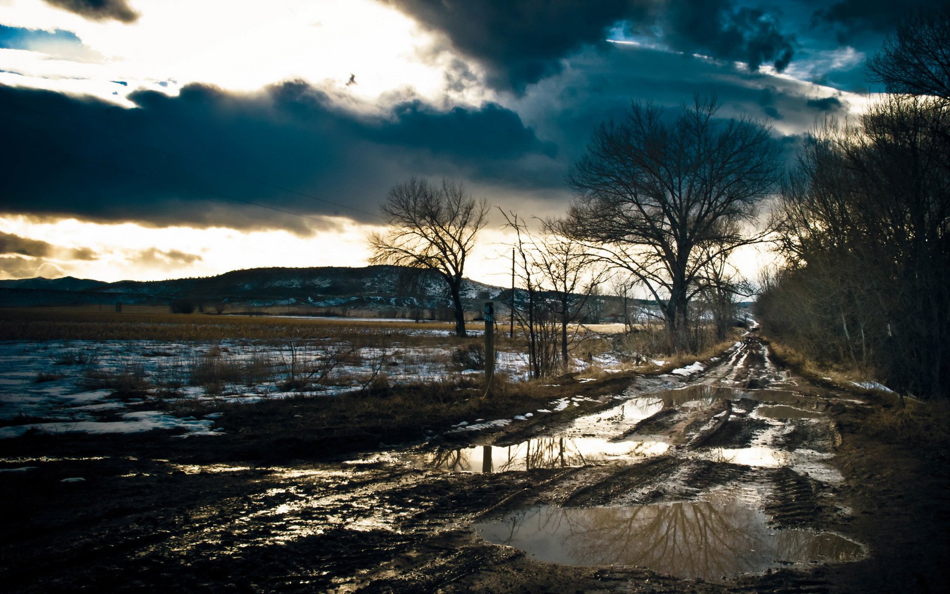 pring morning road landscape